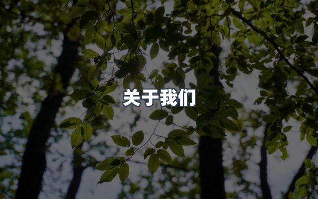 团队合作