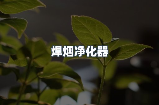 焊烟净化器